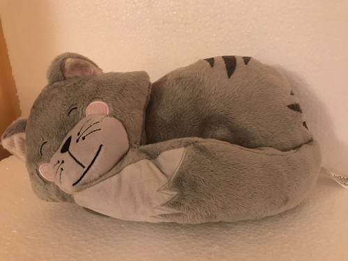 Avon sleeping cat grey - grey, lying