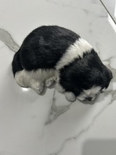 Sleeping Artificial Cat For