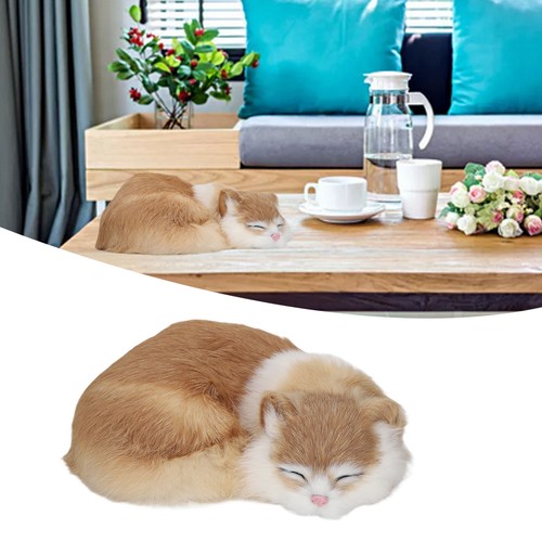 Cute simulation sleeping - simulation, cat