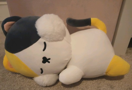 Kenji land sleeping lucky - sleeping,