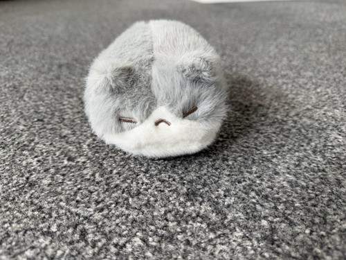 Soft round sleeping grey and - soft,