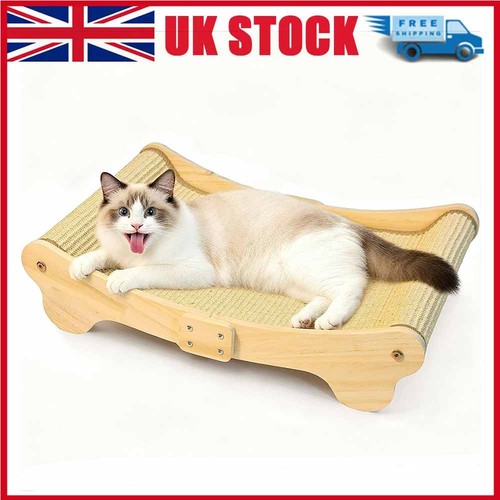 Cat kitten scratcher - cat,