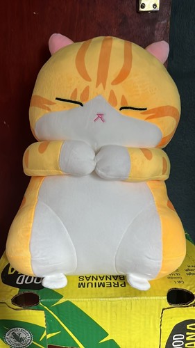 Comfortable cute cat doll - ,