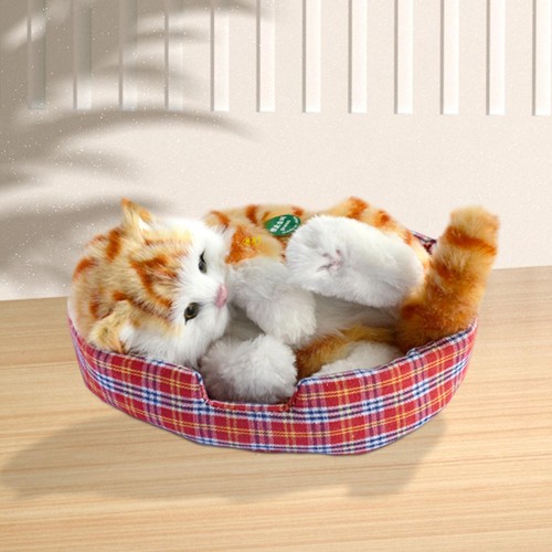 Sleeping cats toy - cats,
