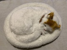 Realistic Sleeping Cat Toy