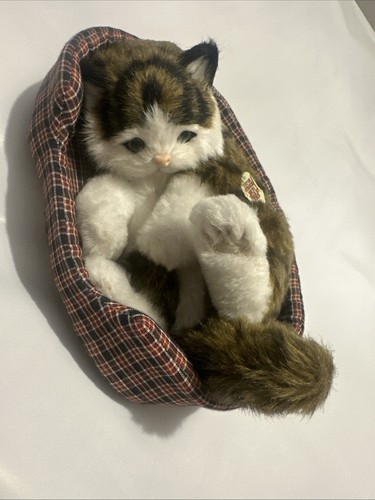 Simulation sleeping cat - simulation,