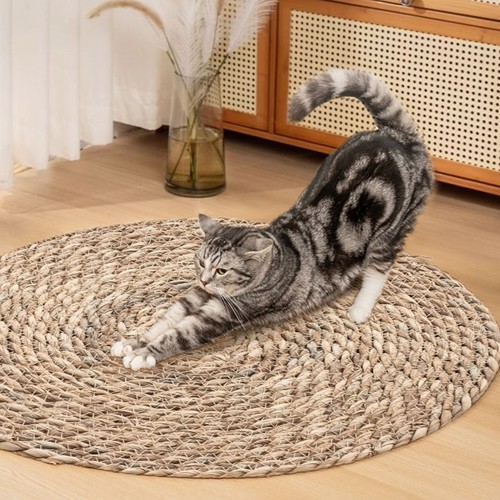 Woven rattan cat - scratcher, bed
