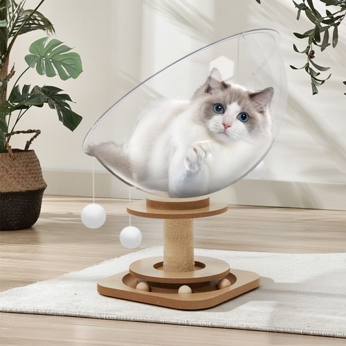 Cat scratcher box space - cat,