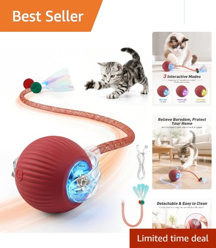Rechargeable interactive cat - interactive,