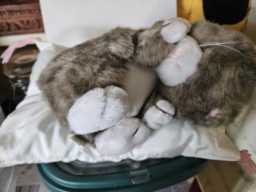 Sleeping cat pillow soft - sleeping,