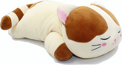 Sleeping cat hugging pillow - sleeping,