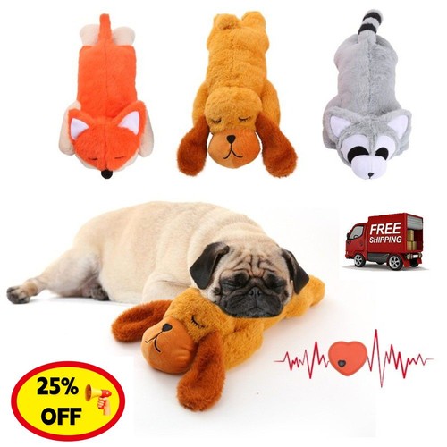 Pet puppy cat soft - pet,