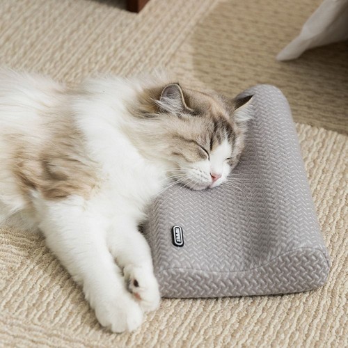 Dog neck support - neck, pillow