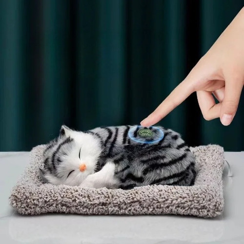 Cute plush stuffed - cute, toy
