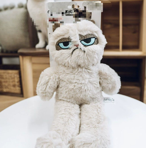 Cute and unhappy cat - , toy