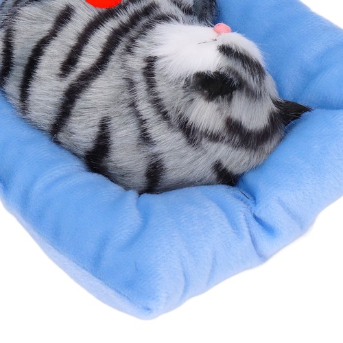 Fake cats sleeping - .›fake,