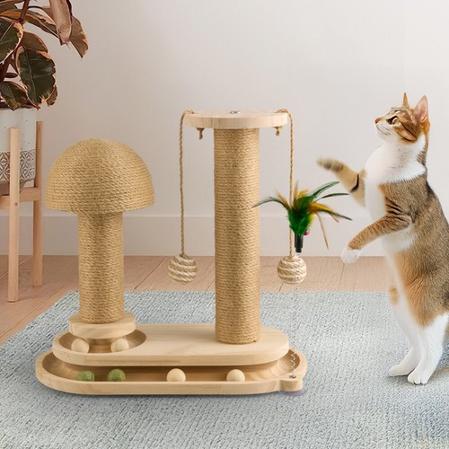 Cat scratch scratching post - scratch,