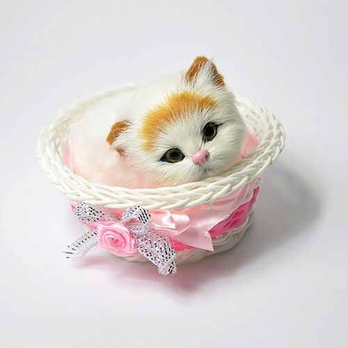 Sleeping cat basket - cat, in