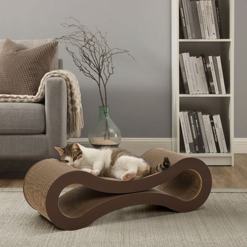 Cat kitten cardboard - cat,