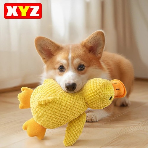 Pet plush toy dog - pet,