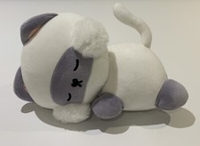 Kenji land Dorothy sleeping