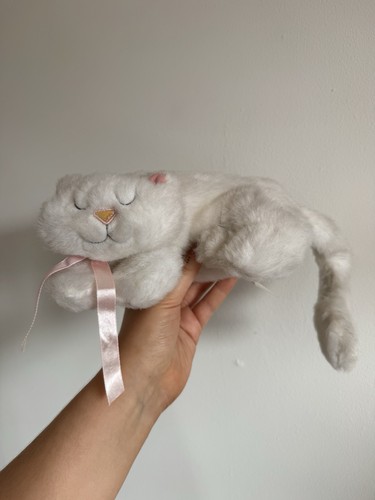 White sleeping cat kitten - white,