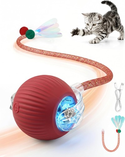 Interactive cat toy - interactive, ball