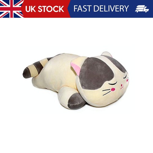 Sleeping cat hugging pillow - sleeping,