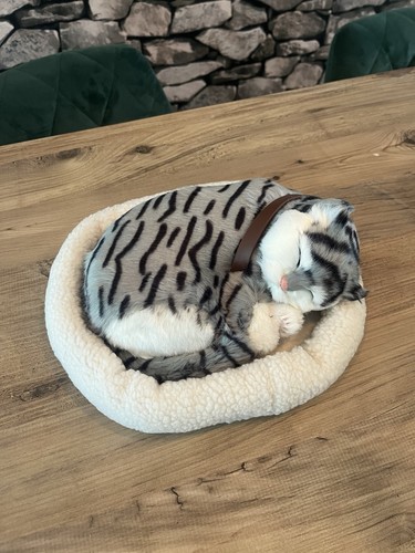 Medium toy sleeping - cat, plush