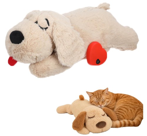 Realistic heartbeat cat - heartbeat,