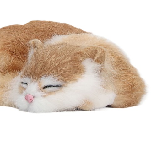 Lifelike sleeping cat cute - sleeping,