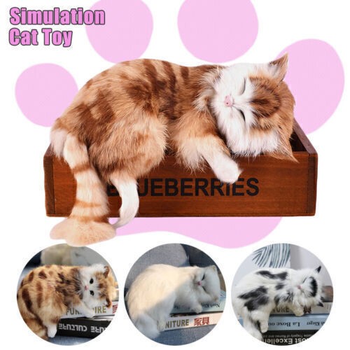 Realistic persian cat - cat, pet