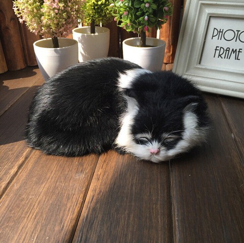Realistic sleeping cat plush - realistic,