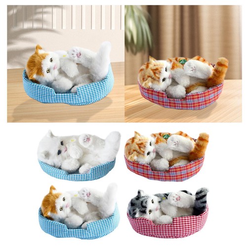 Interactive plush cat - cat, for