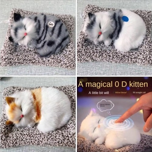 Realistic sleeping cat - realistic,
