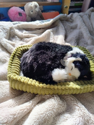 Perfect petzzz breathing - perfect,