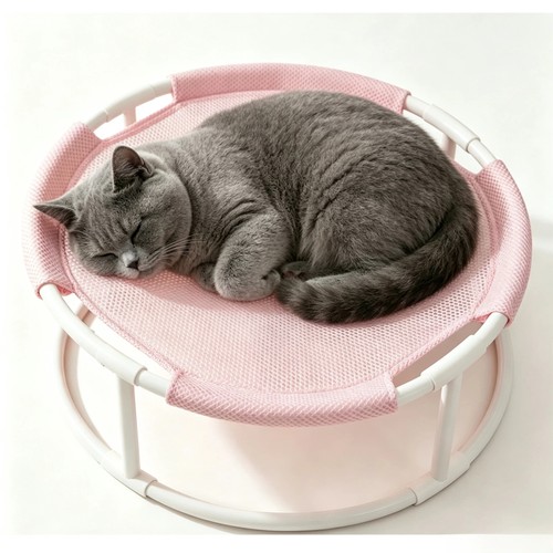 Cat hammock bed - cat,