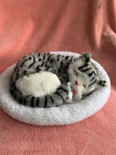 Realistic sleeping cat toy - realistic, in
